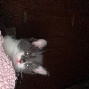 Meet your Posher, Aidan